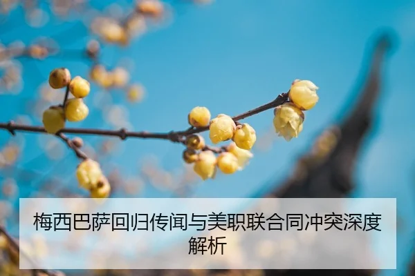 mei-xi-ba-sa-hui-gui-chuan-wen-yu-mei-zhi-lian-he-tong-chong-tu-shen-du-jie-xi-2-780.jpg