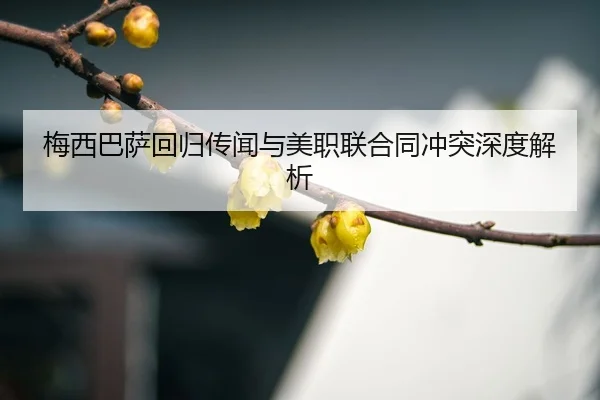 mei-xi-ba-sa-hui-gui-chuan-wen-yu-mei-zhi-lian-he-tong-chong-tu-shen-du-jie-xi-3-868.jpg