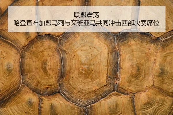 lian-meng-zhen-dang-ha-deng-xuan-bu-jia-meng-ma-ci-yu-wen-ban-ya-ma-gong-tong-chong-ji-xi-bu-jue-sai-xi-wei-2-445.jpg