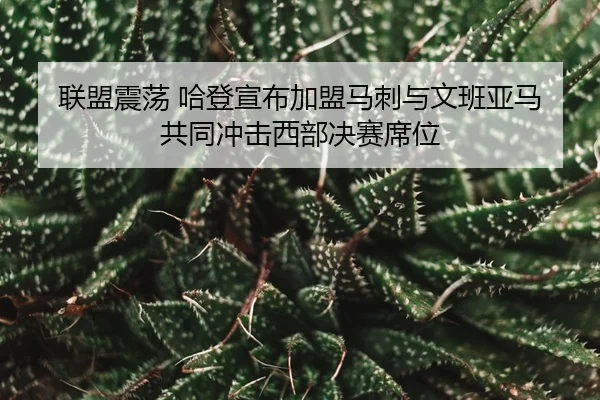 lian-meng-zhen-dang-ha-deng-xuan-bu-jia-meng-ma-ci-yu-wen-ban-ya-ma-gong-tong-chong-ji-xi-bu-jue-sai-xi-wei-3-428.jpg