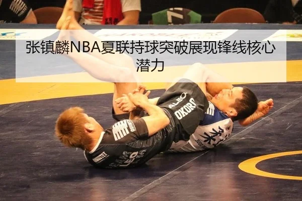 zhang-zhen-lin-xia-lian-chi-qiu-tu-po-zhan-xian-feng-xian-he-xin-qian-li-2-285.jpg
