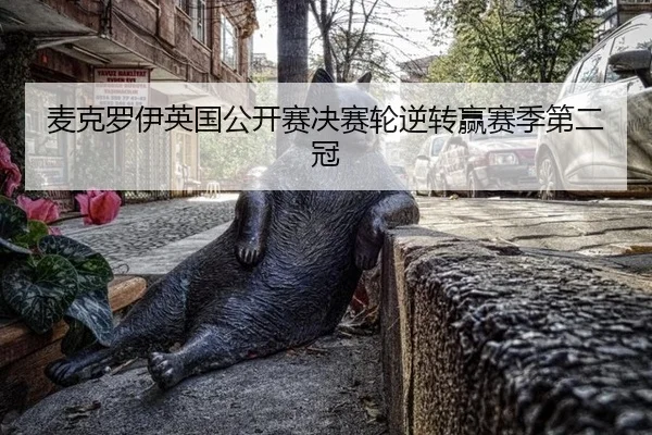 mai-ke-luo-yi-ying-guo-gong-kai-sai-jue-sai-lun-ni-zhuan-ying-sai-ji-di-er-guan-2-263.jpg
