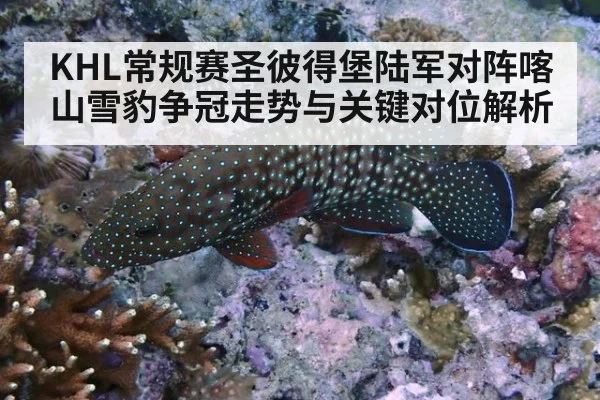 KHL常规赛圣彼得堡陆军对阵喀山雪豹争冠走势与关键对位解析